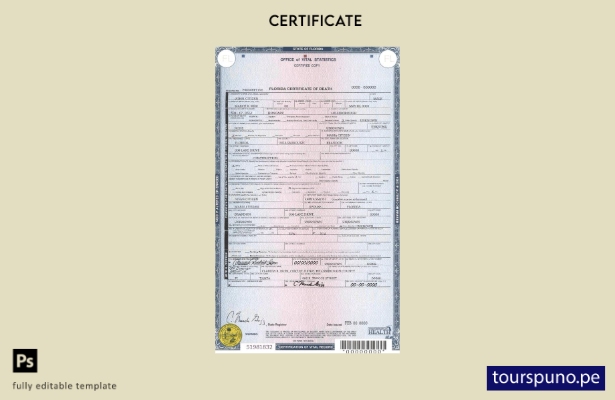 Plantilla de certificado de defunción del estado de Florida lista para imprimir 